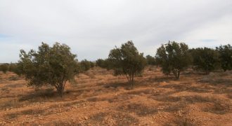 Terrain a Vendre