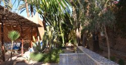 Maison Tighmert Palmeraie